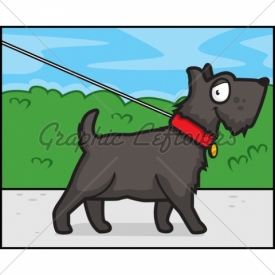 Walkies Dog walking and pet services 